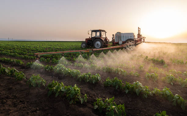 Best Best Pest Control Companies  in West Baraboo, WI