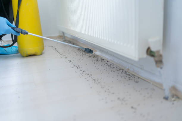 Professional Pest Control in West Baraboo, WI
